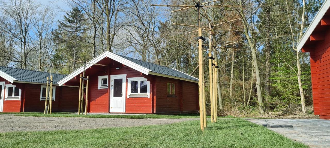 Vakantiepark 'T Urkerbos - 4 Persoons Brabantse Blokhut Exterior foto